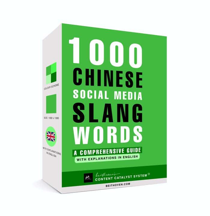 Chinese Social Media Slang Words